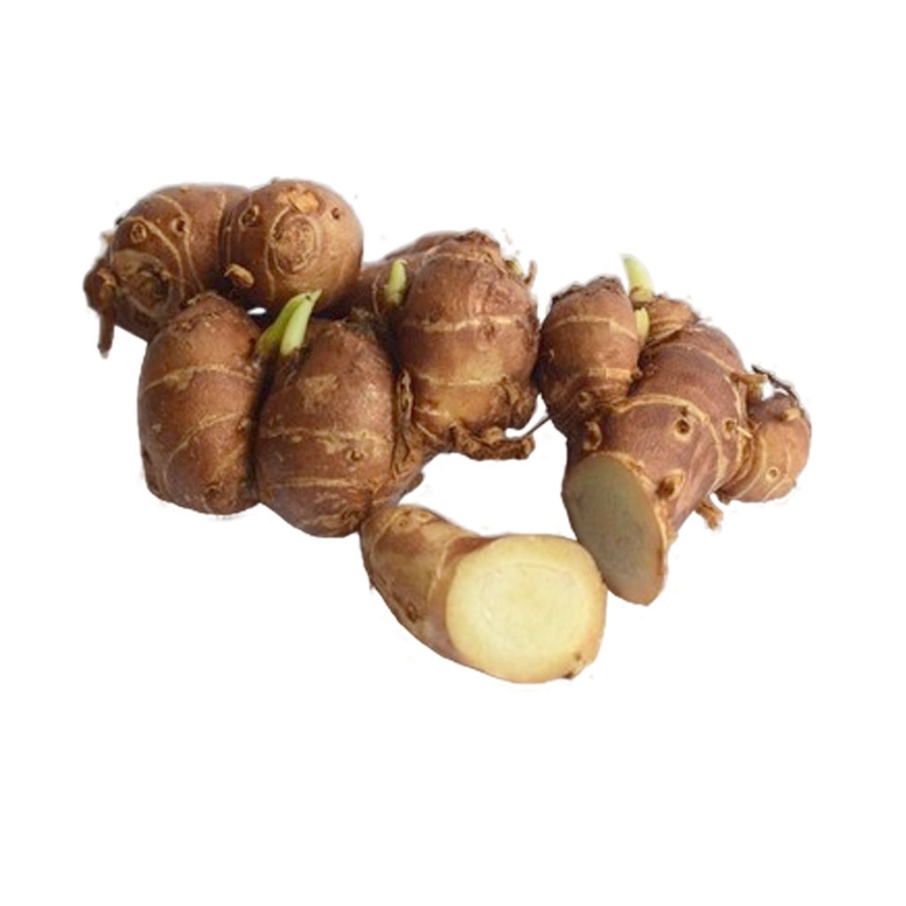 Kencur 100g