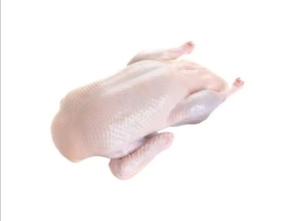 Bebek