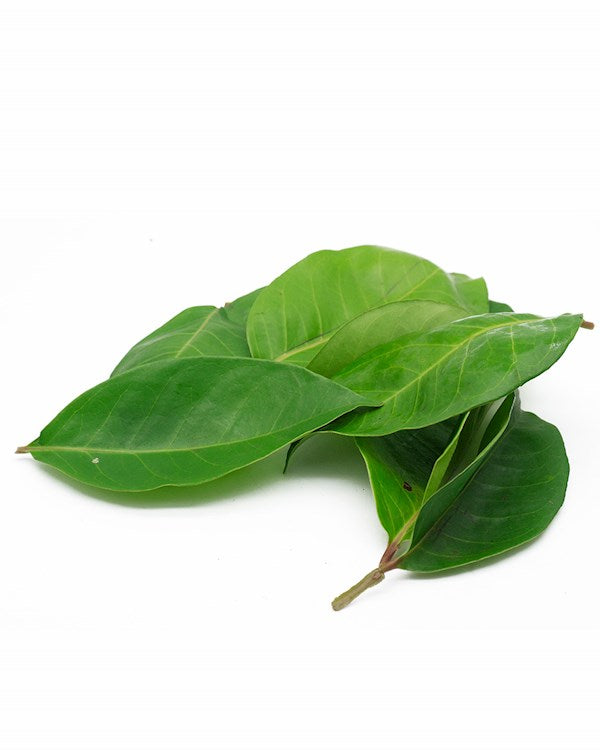Daun salam beku 100g